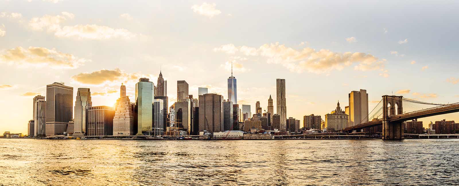 Focus Integrated Fitness - Fitness in New York